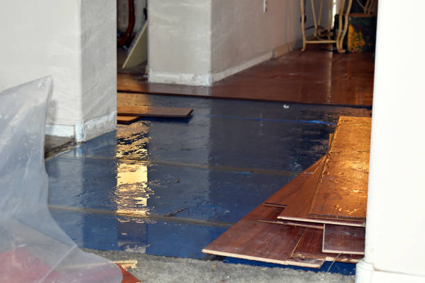 Professional Basement Flood Cleanup technician working in Petal, MS